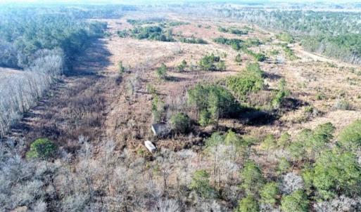 Photo of 166 acres of Timberland For Sale in Pitt County NC!
