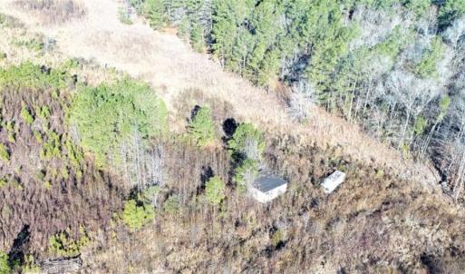 Photo of 166 acres of Timberland For Sale in Pitt County NC!