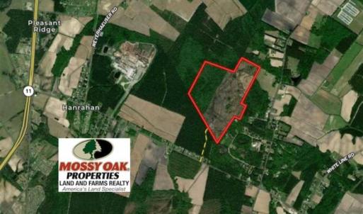 Photo of 166 acres of Timberland For Sale in Pitt County NC!