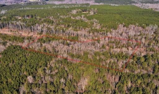 Photo of UNDER CONTRACT!!  7.94 acres of Hunting and Residential Land for Sale in Brunswick County VA!