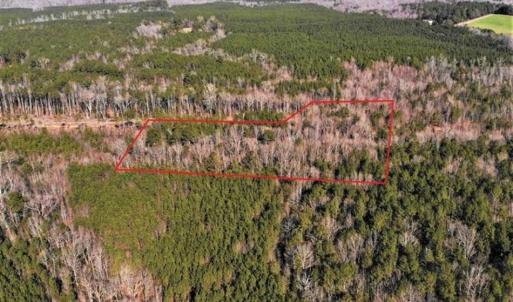 Photo of UNDER CONTRACT!!  7.94 acres of Hunting and Residential Land for Sale in Brunswick County VA!