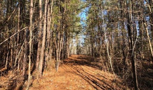 Photo of UNDER CONTRACT!!  7.94 acres of Hunting and Residential Land for Sale in Brunswick County VA!