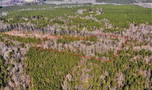 Photo of UNDER CONTRACT!!  7.94 acres of Hunting and Residential Land for Sale in Brunswick County VA!