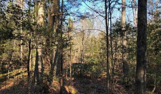 Photo of UNDER CONTRACT!!  7.94 acres of Hunting and Residential Land for Sale in Brunswick County VA!