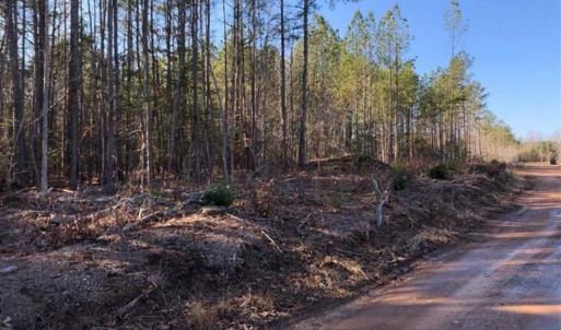 Photo of UNDER CONTRACT!!  7.94 acres of Hunting and Residential Land for Sale in Brunswick County VA!