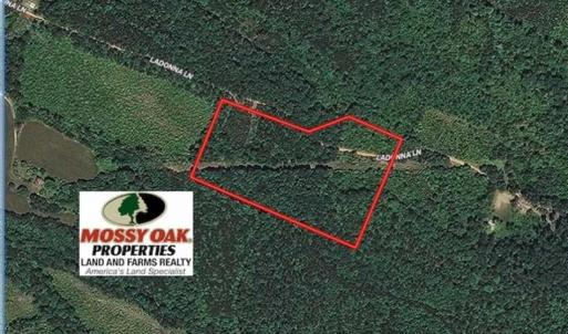 Photo of UNDER CONTRACT!!  7.94 acres of Hunting and Residential Land for Sale in Brunswick County VA!