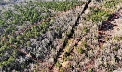Photo of UNDER CONTRACT!!  7.94 acres of Hunting and Residential Land for Sale in Brunswick County VA!