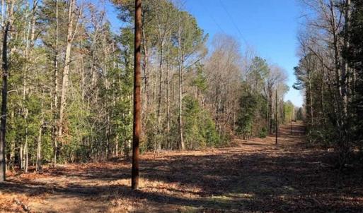 Photo of UNDER CONTRACT!!  7.94 acres of Hunting and Residential Land for Sale in Brunswick County VA!