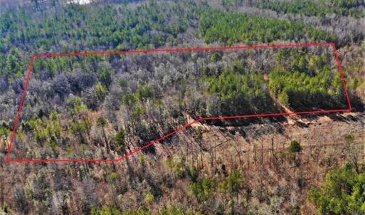 Photo of UNDER CONTRACT!!  7.94 acres of Hunting and Residential Land for Sale in Brunswick County VA!