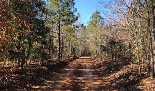Photo of UNDER CONTRACT!!  7.94 acres of Hunting and Residential Land for Sale in Brunswick County VA!
