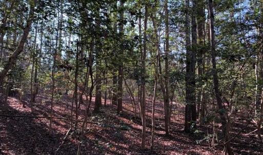 Photo of UNDER CONTRACT!!  7.94 acres of Hunting and Residential Land for Sale in Brunswick County VA!