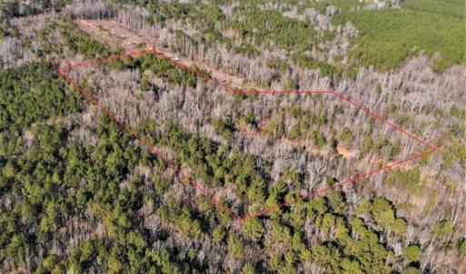 Photo of UNDER CONTRACT!!  7.94 acres of Hunting and Residential Land for Sale in Brunswick County VA!