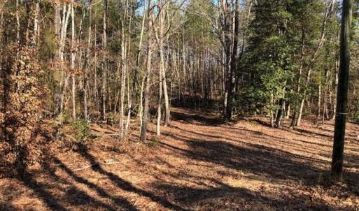 Photo of UNDER CONTRACT!!  7.94 acres of Hunting and Residential Land for Sale in Brunswick County VA!