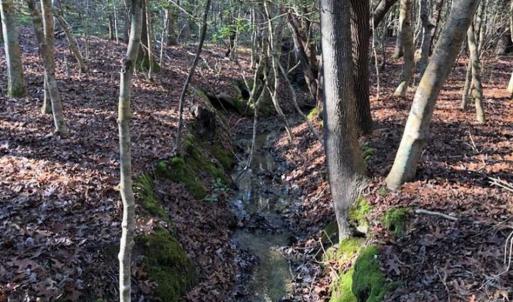 Photo of UNDER CONTRACT!!  7.94 acres of Hunting and Residential Land for Sale in Brunswick County VA!
