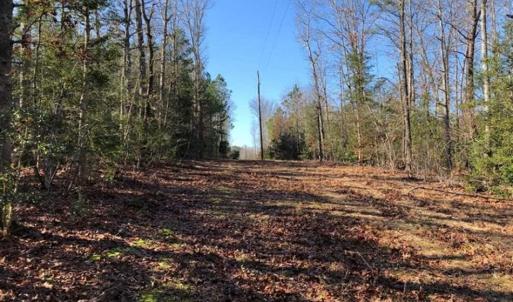 Photo of UNDER CONTRACT!!  7.94 acres of Hunting and Residential Land for Sale in Brunswick County VA!