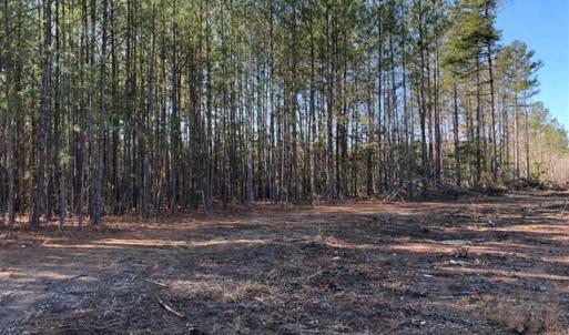 Photo of UNDER CONTRACT!!  7.94 acres of Hunting and Residential Land for Sale in Brunswick County VA!