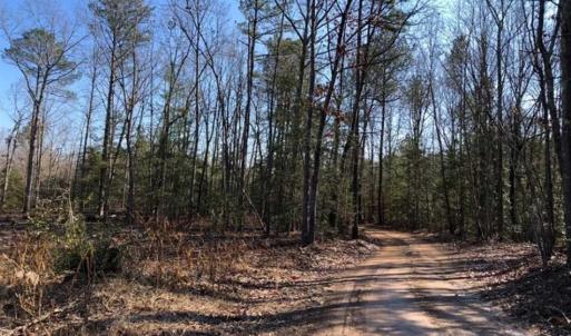 Photo of UNDER CONTRACT!!  7.94 acres of Hunting and Residential Land for Sale in Brunswick County VA!