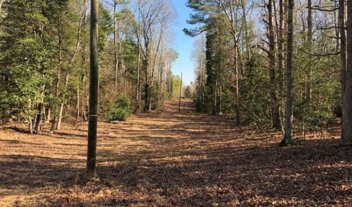 Photo of UNDER CONTRACT!!  7.94 acres of Hunting and Residential Land for Sale in Brunswick County VA!