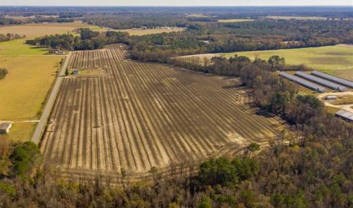 Photo of UNDER CONTRACT!!  53.33 acres of Farm for Sale in Sampson County NC!
