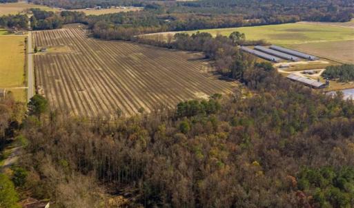 Photo of UNDER CONTRACT!!  53.33 acres of Farm for Sale in Sampson County NC!