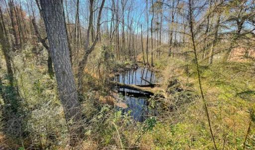Photo of UNDER CONTRACT!!  53.33 acres of Farm for Sale in Sampson County NC!