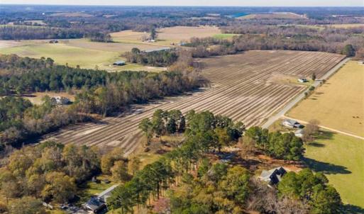 Photo of UNDER CONTRACT!!  53.33 acres of Farm for Sale in Sampson County NC!