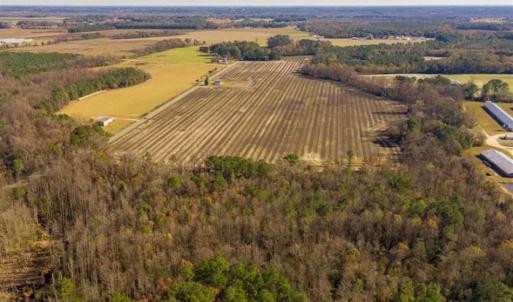 Photo of UNDER CONTRACT!!  53.33 acres of Farm for Sale in Sampson County NC!