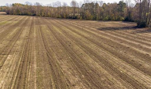 Photo of UNDER CONTRACT!!  53.33 acres of Farm for Sale in Sampson County NC!
