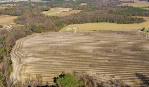 Photo of UNDER CONTRACT!!  53.33 acres of Farm for Sale in Sampson County NC!