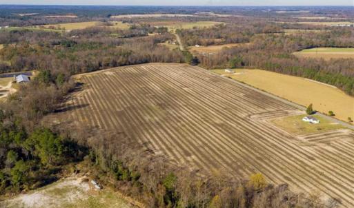 Photo of UNDER CONTRACT!!  53.33 acres of Farm for Sale in Sampson County NC!