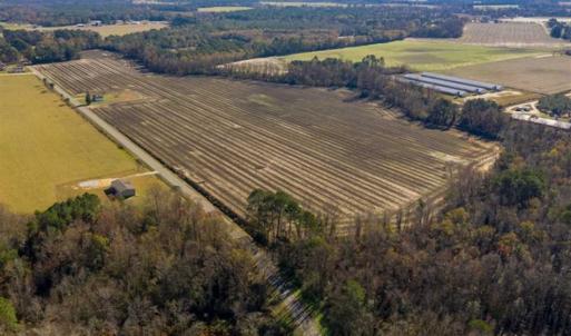 Photo of UNDER CONTRACT!!  53.33 acres of Farm for Sale in Sampson County NC!