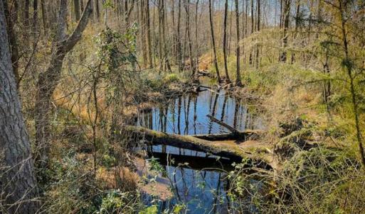 Photo of UNDER CONTRACT!!  53.33 acres of Farm for Sale in Sampson County NC!