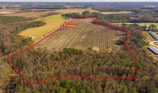 Photo of UNDER CONTRACT!!  53.33 acres of Farm for Sale in Sampson County NC!