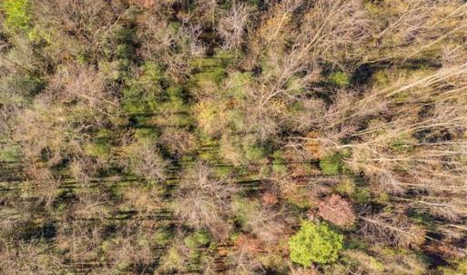 Photo of UNDER CONTRACT!!  53.33 acres of Farm for Sale in Sampson County NC!