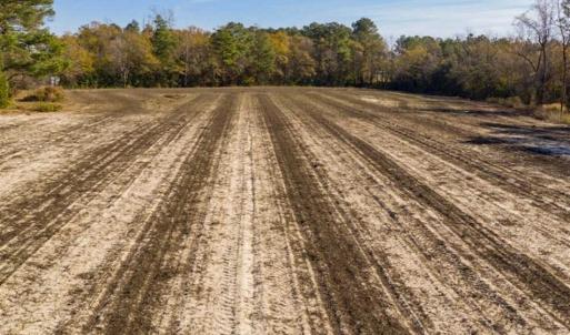 Photo of UNDER CONTRACT!!  53.33 acres of Farm for Sale in Sampson County NC!