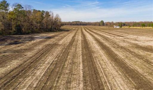 Photo of UNDER CONTRACT!!  53.33 acres of Farm for Sale in Sampson County NC!