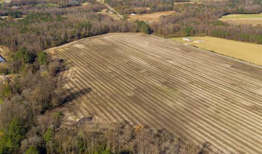 Photo of UNDER CONTRACT!!  53.33 acres of Farm for Sale in Sampson County NC!