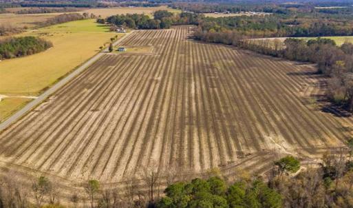 Photo of UNDER CONTRACT!!  53.33 acres of Farm for Sale in Sampson County NC!