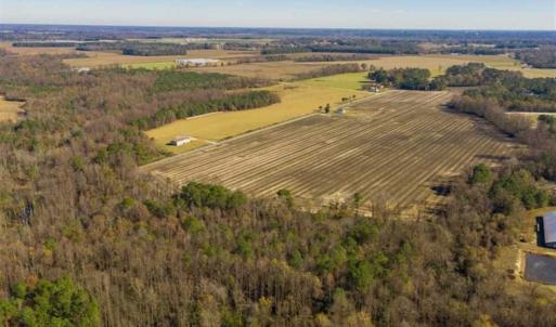Photo of UNDER CONTRACT!!  53.33 acres of Farm for Sale in Sampson County NC!