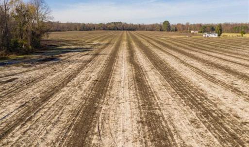 Photo of UNDER CONTRACT!!  53.33 acres of Farm for Sale in Sampson County NC!