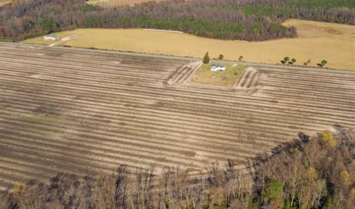 Photo of UNDER CONTRACT!!  53.33 acres of Farm for Sale in Sampson County NC!