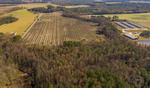 Photo of UNDER CONTRACT!!  53.33 acres of Farm for Sale in Sampson County NC!