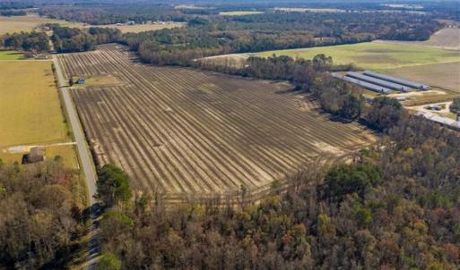 Photo of UNDER CONTRACT!!  53.33 acres of Farm for Sale in Sampson County NC!