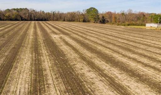 Photo of UNDER CONTRACT!!  53.33 acres of Farm for Sale in Sampson County NC!