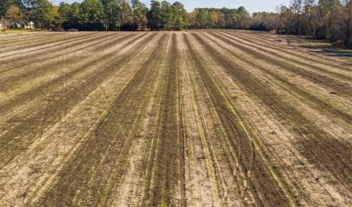 Photo of UNDER CONTRACT!!  53.33 acres of Farm for Sale in Sampson County NC!