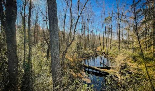 Photo of UNDER CONTRACT!!  53.33 acres of Farm for Sale in Sampson County NC!