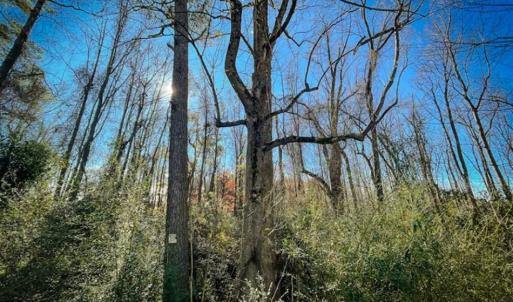 Photo of UNDER CONTRACT!!  53.33 acres of Farm for Sale in Sampson County NC!