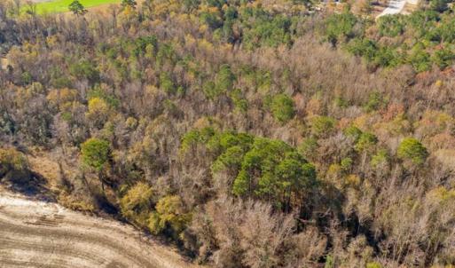 Photo of UNDER CONTRACT!!  53.33 acres of Farm for Sale in Sampson County NC!