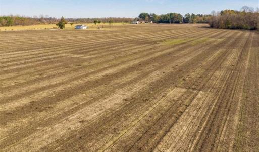 Photo of UNDER CONTRACT!!  53.33 acres of Farm for Sale in Sampson County NC!