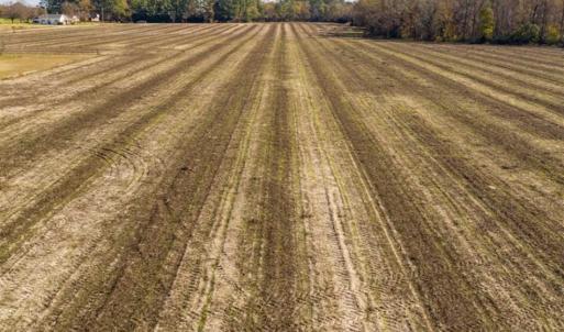 Photo of UNDER CONTRACT!!  53.33 acres of Farm for Sale in Sampson County NC!